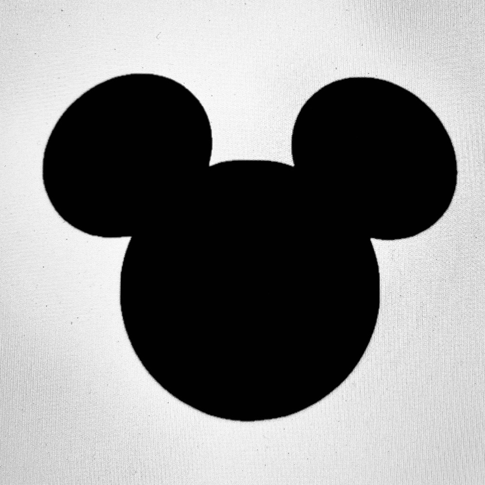 Disney Merchandise!